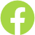 Facebook icon green